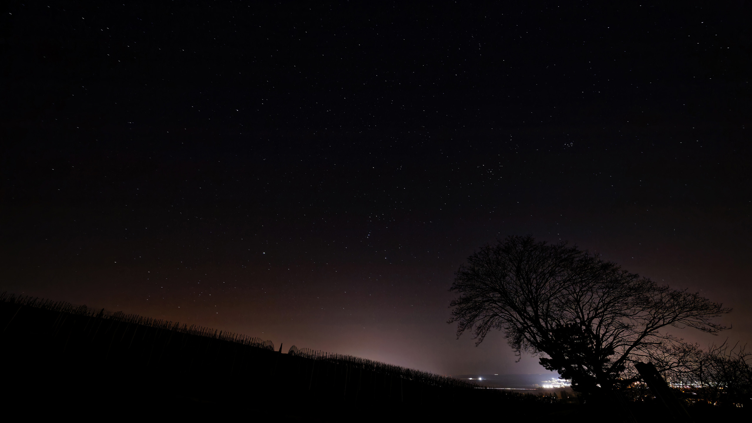 Starry night